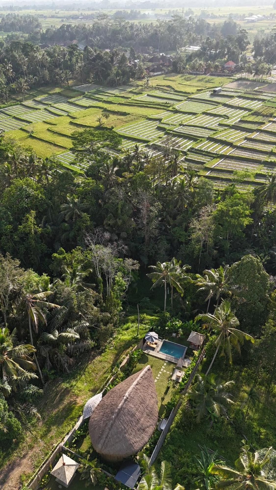 Pitu, A Punggul Village Escape Sangeh المظهر الخارجي الصورة